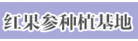 红果参种植环境#红果参种植技术￥#红果参种植基地