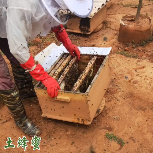 云南蜂蜜销售价格@蜂蜜食用方法@