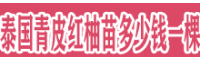 泰国青皮红柚苗多少钱一棵