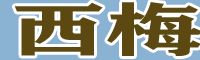 西梅、加州西梅、欧洲李苗圃图片性（附行情价格）