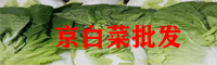 京白菜直销点_京白菜行情走势