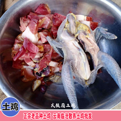 土鸡蛋养殖_土鸡蛋的蛋黄_鸡蛋的市场