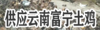 供应云南富宁土鸡 2020土鸡价格