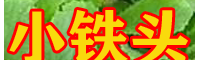 云南小铁头价格 小铁头菜苗 小铁头苗哪里可以买到