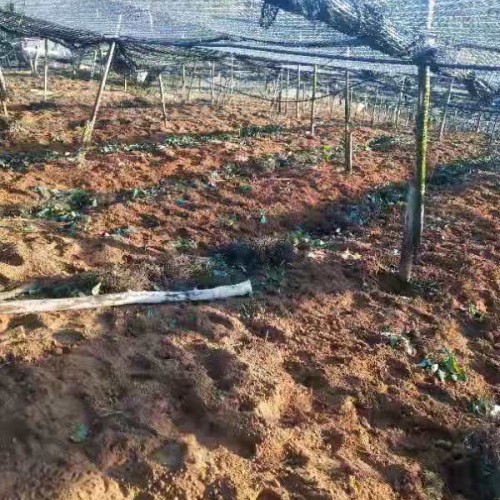 云南省昆明禄劝土地出租  云南省昆明市海口镇种植土地出租