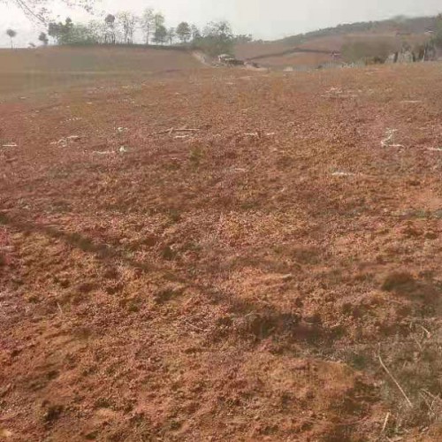 云南蒙自土地出租|云南土地出租价格|禄劝土地信息