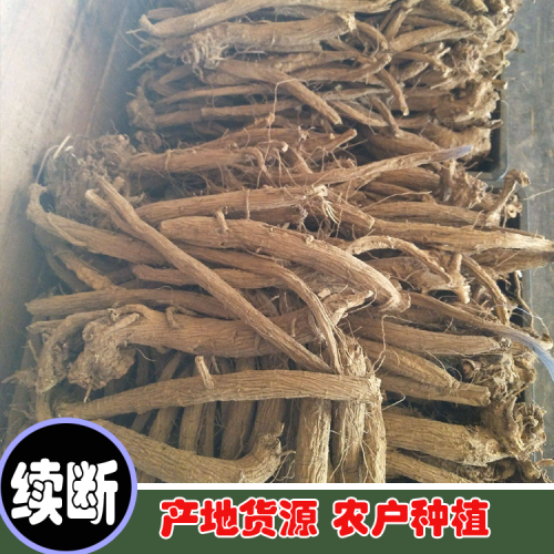 云南续断种子批发商—昆明螺蛳湾续断种子销售-田园农产品
