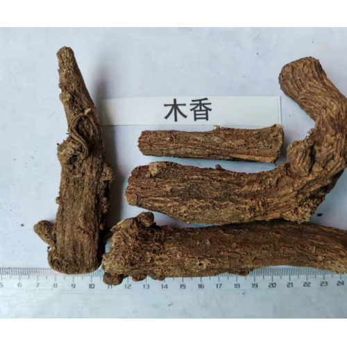 供应大量木香，木香籽