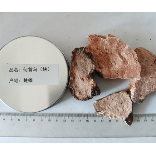 云南楚雄大量何首乌供应。价格。图片。楚雄和康公司信息。