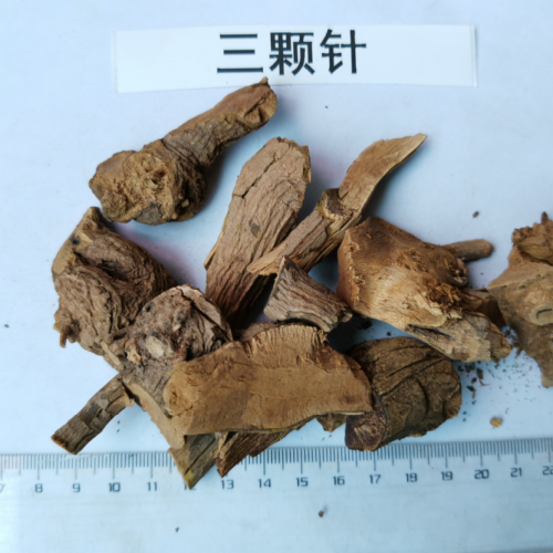 三颗针泡酒的功效和作用