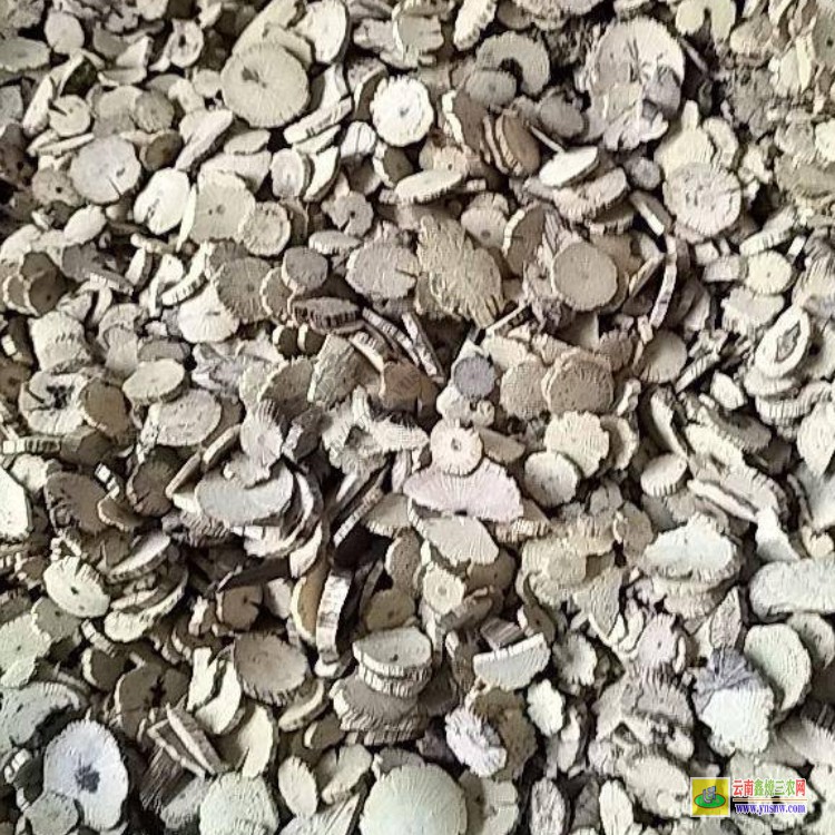 能种植通草的地方 大概多少钱一斤 正宗川木通价格