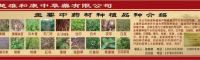 云南楚雄产区白扁豆2021新价格行情