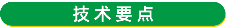 天冬苗 天门冬种苗批发供应 天冬种苗价格 天冬种植 基地现挖现发