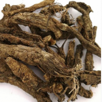 求购大量虎掌草