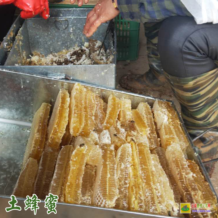 大理蜂蜜价格多少钱一斤 百花蜂蜜价格表 云南蜂蜜价格