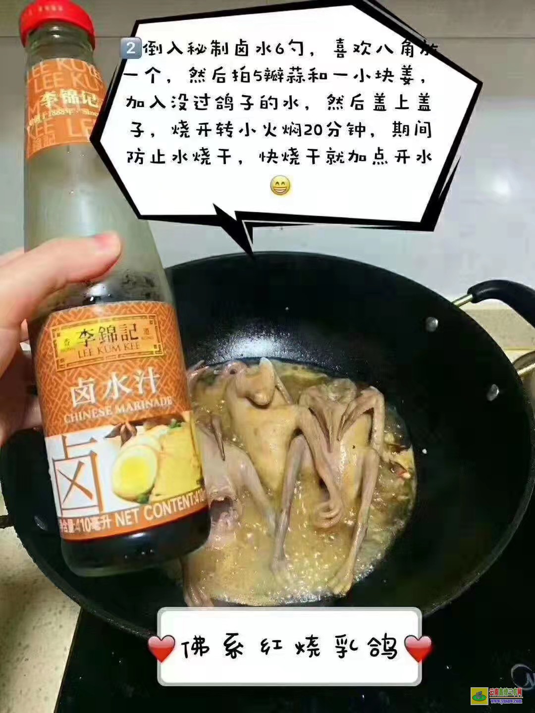 利津肉鸽价格市场行情 目前市场肉鸽价格怎么样? 种鸽价格求购信鸽种鸽