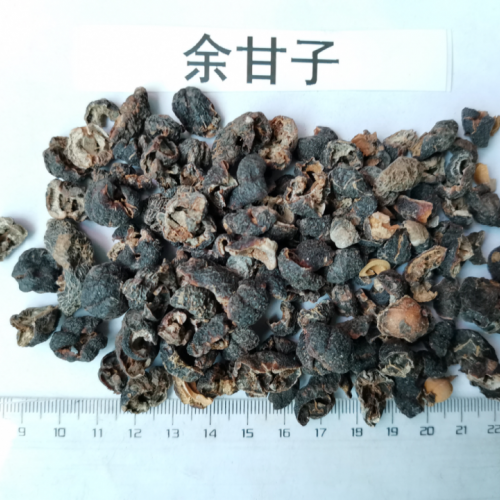 余甘子价格大约多少钱 干余甘子的功效和食用方法