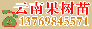 昭通秋雨农业开发有限公司