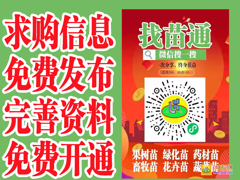 建水找中药材苗 蔬菜苗批发 微信搜一搜找苗通