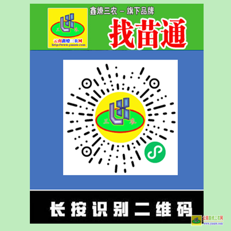 江城周边果树蔬菜苗 中药材种植扶持 微信搜一搜找苗通