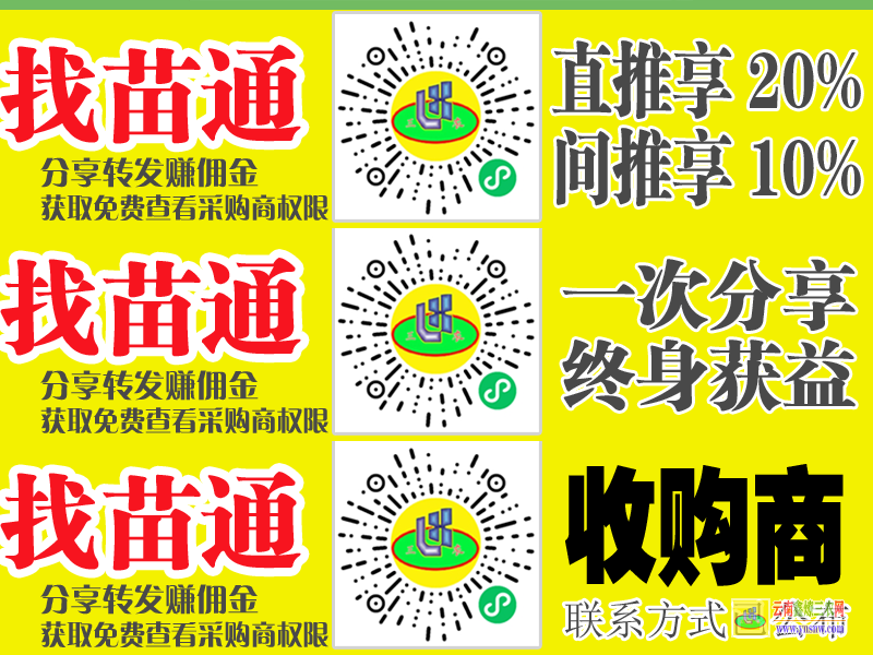 江城周边果树蔬菜苗 中药材种植扶持 微信搜一搜找苗通