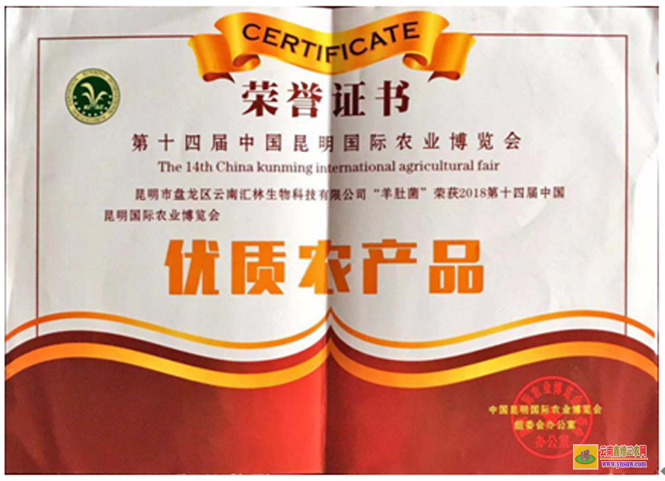 山东羊肚菌的种植方法栽培技术 羊肚菌炖汤做法 羊肚菌的做法