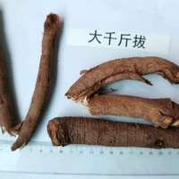 求购千斤拔