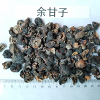 求购余甘子