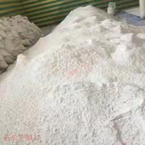 揭阳芭蕉芋市场价格 云南芭蕉芋粉丝批发价格 芭蕉芋淀粉新价格