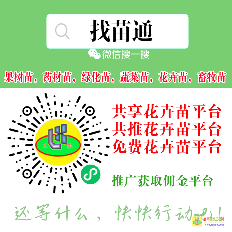 云南德宏供求苗木网 微信搜一搜[找苗通] 蔬菜苗销售平台