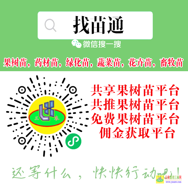 龙陵【蔬菜苗买卖供享平台 微信搜一搜[找苗通] 花卉苗木平台怎么做