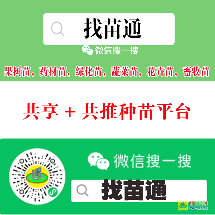元谋2021苗木价格一览表 苗木交易靠谱的网站 苗木求购信息平台app
