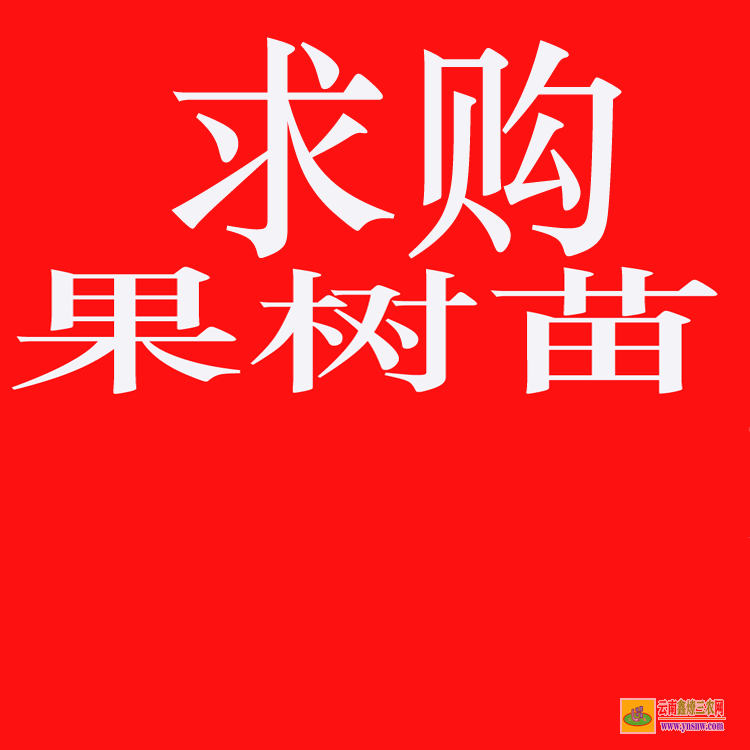 元谋国内大的苗木求购信息网站 上门收购绿化树木 绿化苗木价格表2020