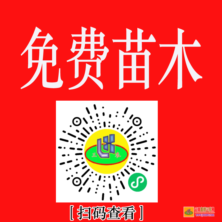 漾濞2021苗木价格一览表 网上苗木报价 苗木求购信息平台app