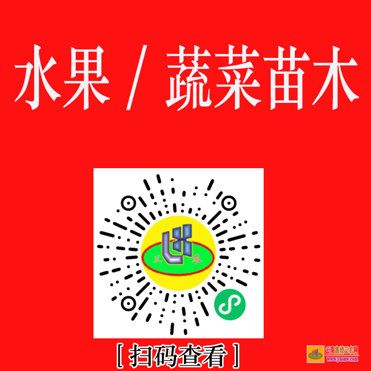 永仁2021苗木价格一览表 网上苗木报价 苗木求购信息平台app