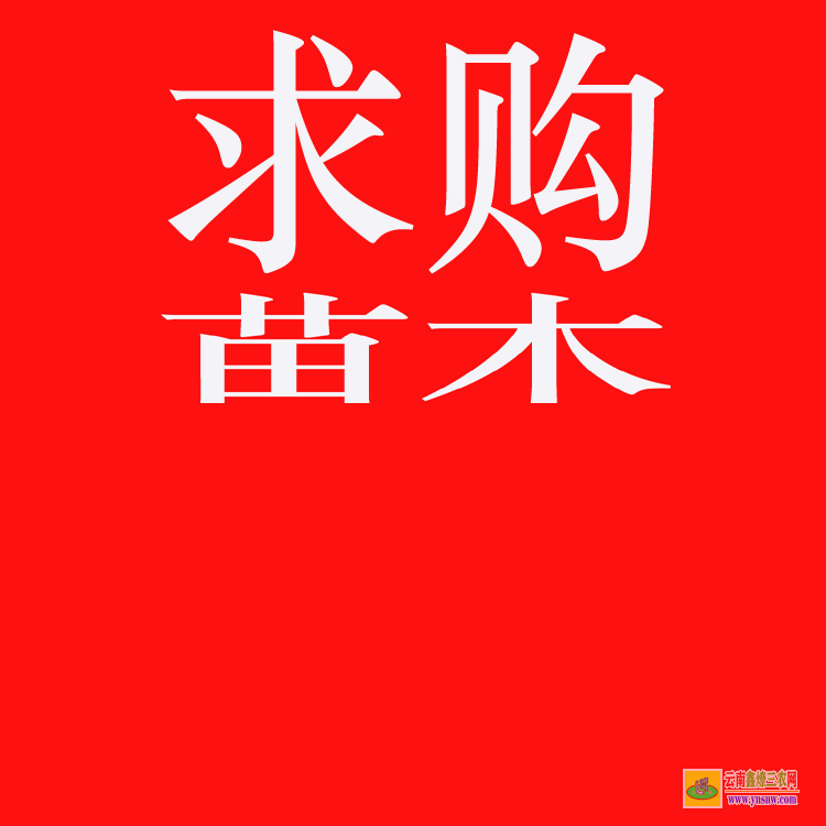 元谋2021苗木价格一览表 较好的苗木交易网站 苗木求购信息平台app