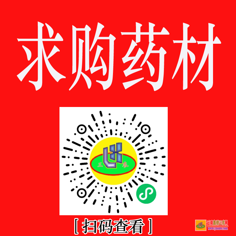 金牛药材苗多少钱一个 株瑜药材苗木 药材苗图片大全大图