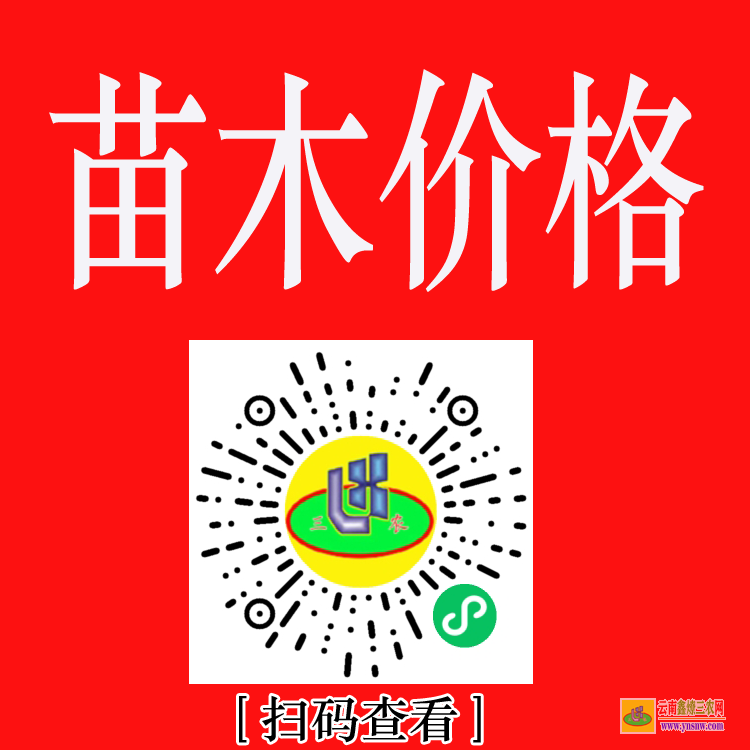 沐川药材苗木有哪些 药材苗木批发网站 药材苗木有哪些