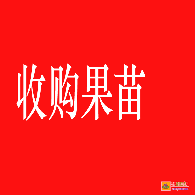 昭阳药材苗图片大全 株瑜药材苗木 药材苗木网