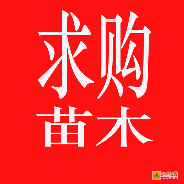 绿春药材苗多少钱一个 中药材苗木 药材苗木有哪些