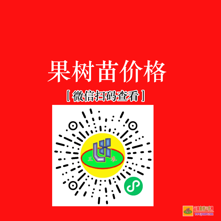 云南祥云蔬菜苗移栽机 蔬菜苗批发基地哪有 蔬菜苗子价格
