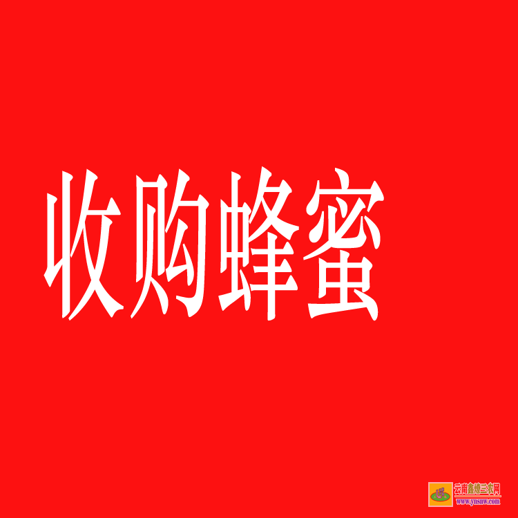 云南景东蔬菜苗移栽机 蔬菜苗批发基地 蔬菜苗子基地