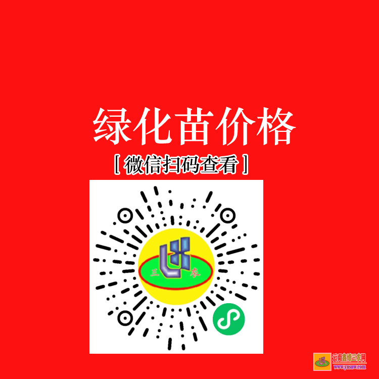 云南会泽蔬菜苗移栽机 蔬菜苗批发在什么地方 蔬菜苗子运输车