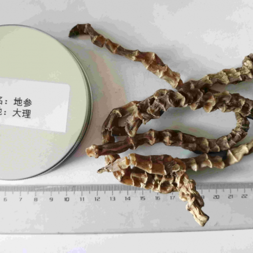 地参怎么吃其营养价值才更高