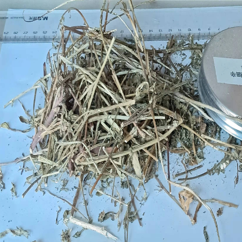 四川绵阳灯盏花价格| 2020年灯盏花价格| 云南灯盏花收购