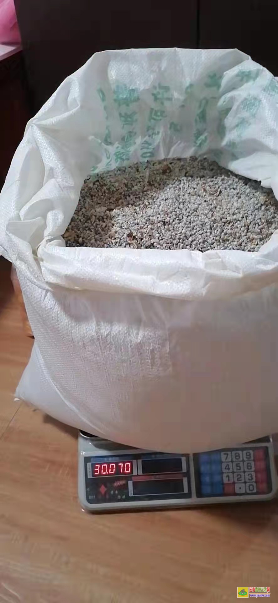 昭通鲁甸砂仁采购信息 香砂价格行情 产地砂仁市场报价中心