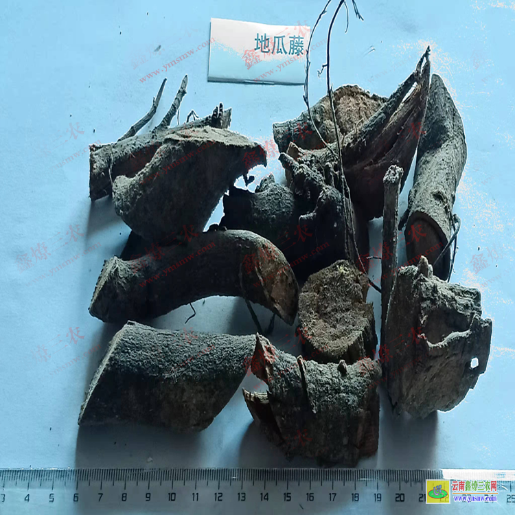 陕西地石榴价格| 地瓜藤多少钱一斤| 地瓜藤图片