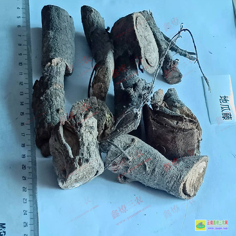 陕西地石榴价格| 地瓜藤多少钱一斤| 地瓜藤图片