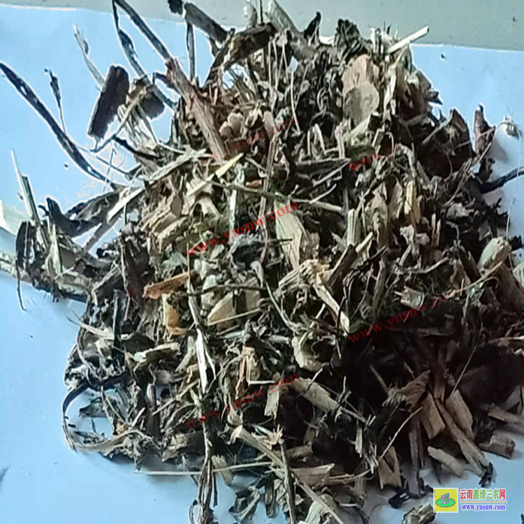 四川灵丹草哪里有卖| 灵丹草行情| 灵丹草批发查询