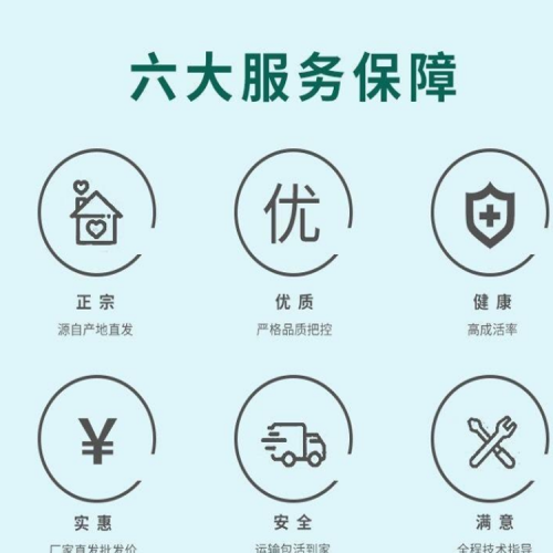 贵阳养鹅苗基地 贵州鹅苗基地 三花鹅苗价格